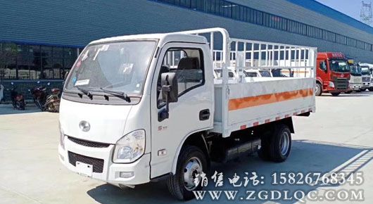 躍進(jìn)小福星藍(lán)牌氣瓶車(藍(lán)牌)